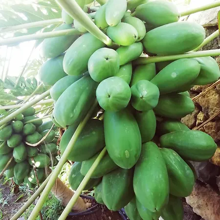 Holiday home Tapias, Casa Papin