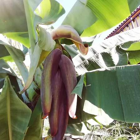 Holiday home Tapias, Casa Papin