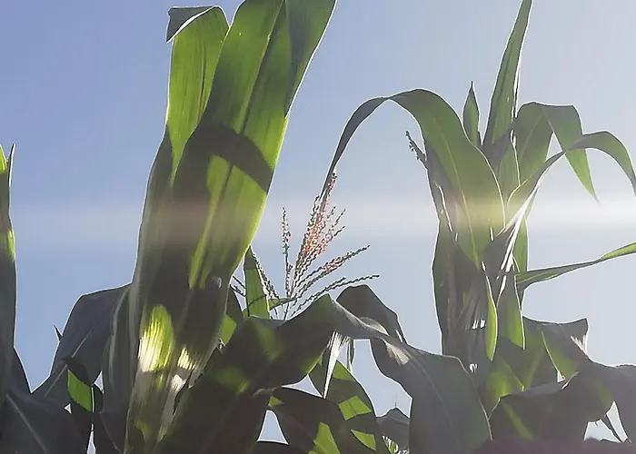 Tapias, Casa Papín Prázdninový dům