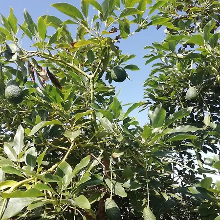 Casa vacanze Tapias, Casa Papin *