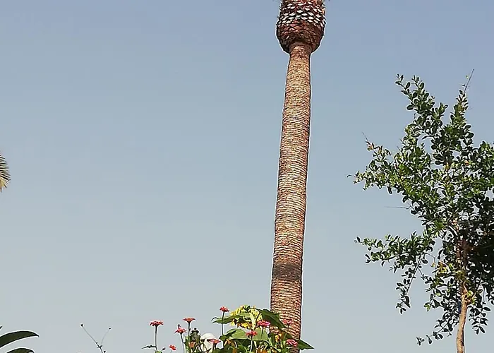 Casa vacanze Tapias, Casa Papin *