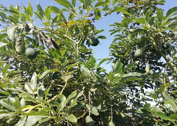 Casa vacanze Tapias, Casa Papin *