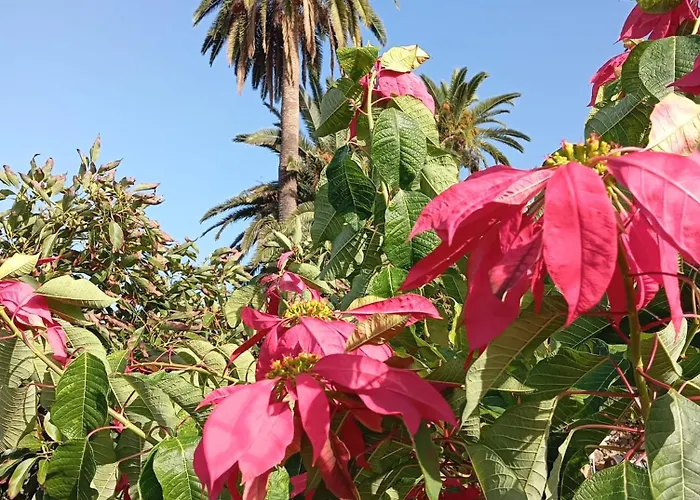 Tapias, Casa Papin Casa vacanze